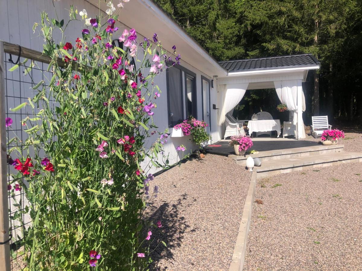 Ferienwohnung Ava645 Mira Soraker Exterior foto